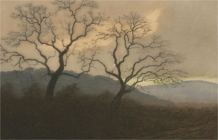Edgard Bouillette (1872-1960) - Early 20th Century Etching, Stark Trees
