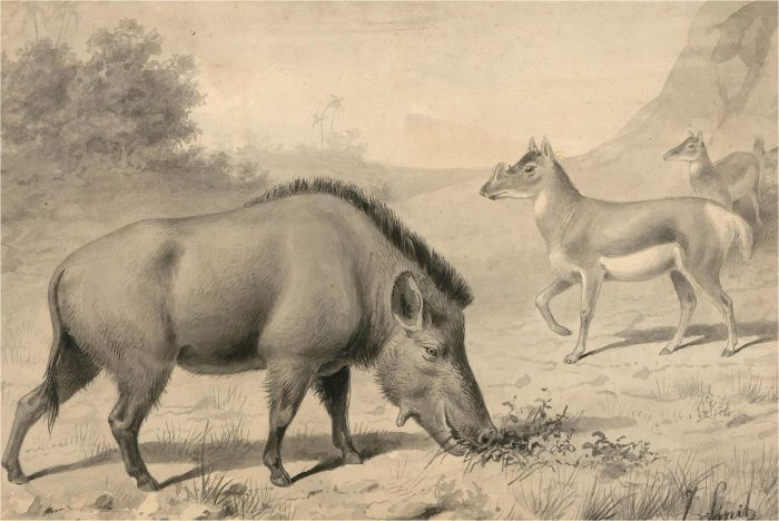 Joseph Smit (1836–1929) - Early 20th Century Watercolour, Prehistoric Beasts