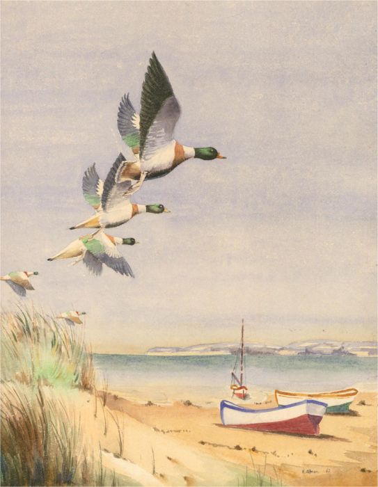 H. Allmon - 1962 Watercolour, Ducks Flying at the Coast