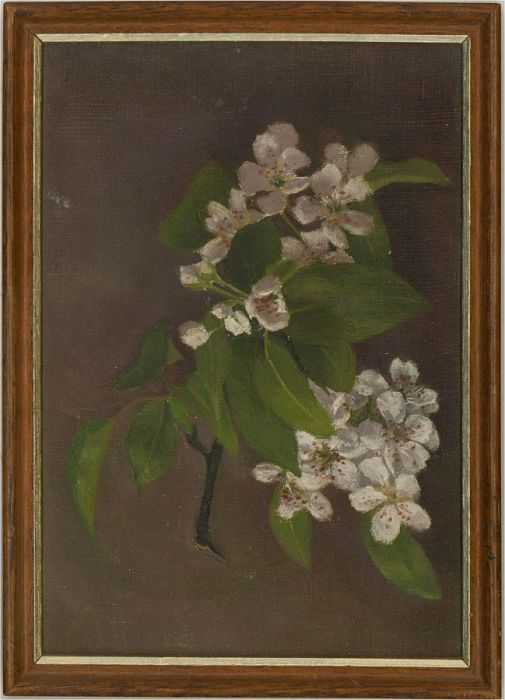 Mid 20th Century Oil - Apple Blossom