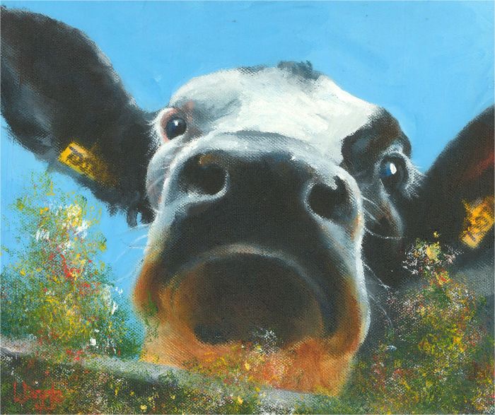 Contemporary Oil - Nosy Cow