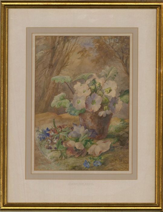 Mabel Harrison ARWS (fl.1907-1936) - Early 20th Century Watercolour, Petunias