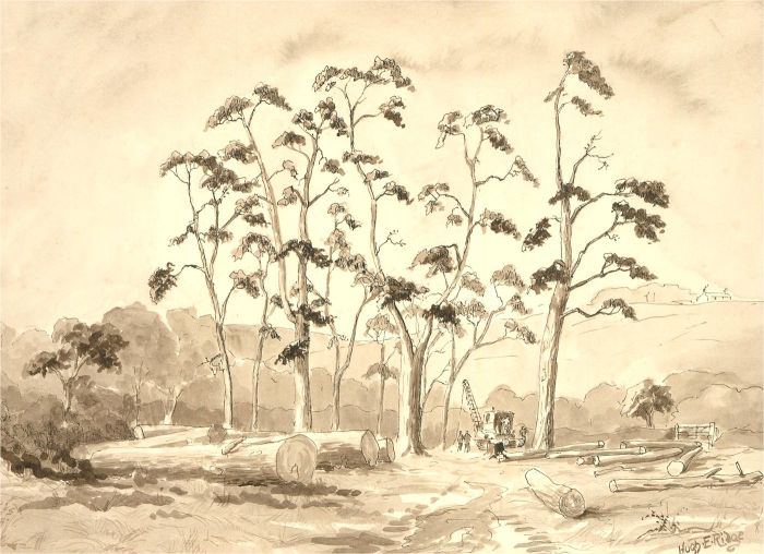 Hugh Edward Ridge (1899-1976) - Mid 20th Century Watercolour, Tree Felling