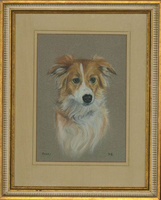 Phyllis Binet - Contemporary Pastel, Perri The Collie