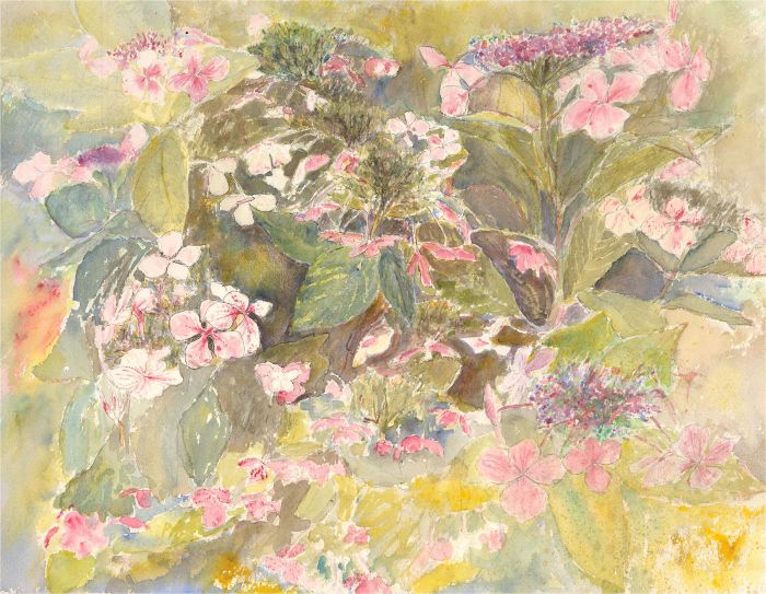 20th Century Watercolour - Hydrangea Bush