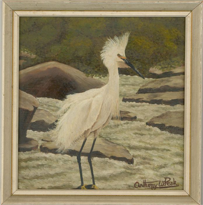 Anthony W. Peck - 20th Century Oil, Heron