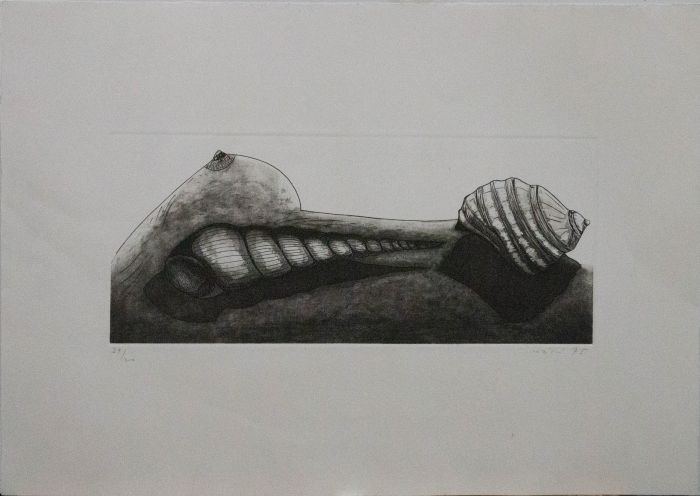 1975 Etching - Female Form With Shells
