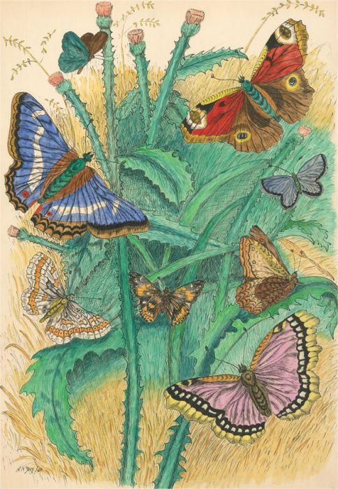 N.K. Day - After P.L. Day 1980 Watercolour, Butterflies II