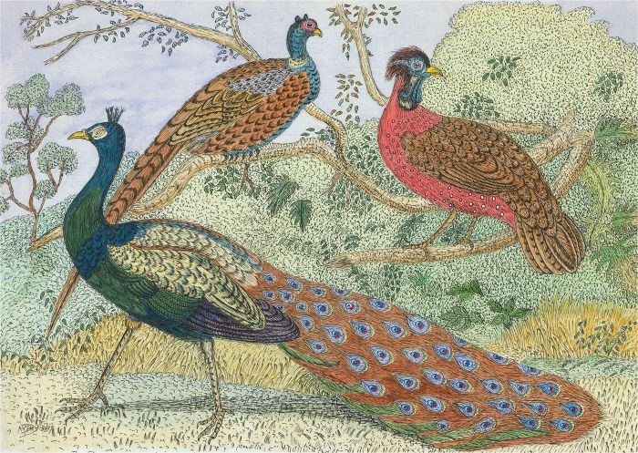 N.K. Day - After P.L. Day Contemporary Watercolour, A Peacock