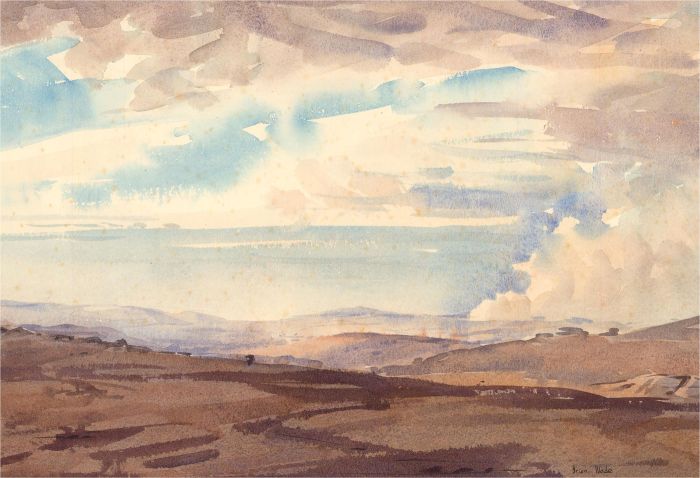 Brian C. Wade - Contemporary Watercolour, Swaling on Dartmoor