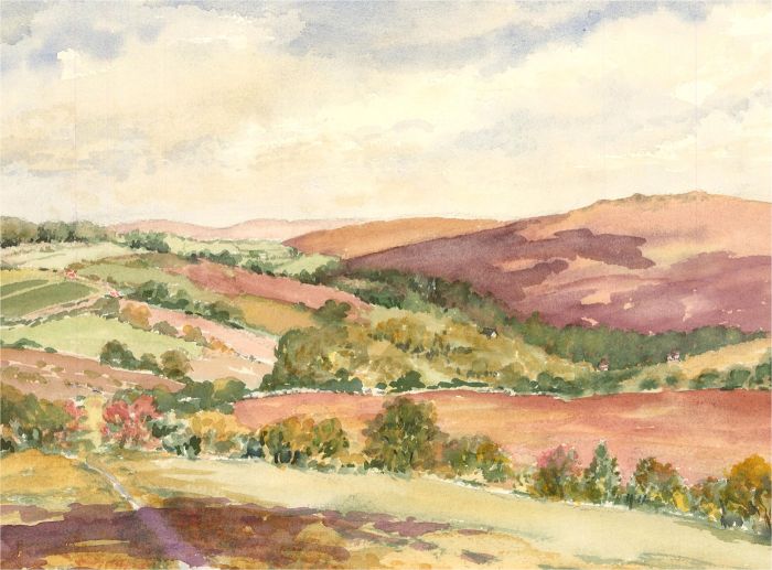 Sylvia E. Churchward-Wade - Contemporary Watercolour, In the Fields