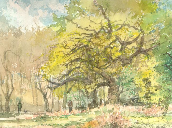 Keith Johnson (1931-2018) - Watercolour, Old Oak, near Crostwick Church