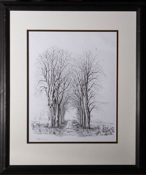 Nick Handover  - 2004 Pen and Ink Drawing, Woodland Walk