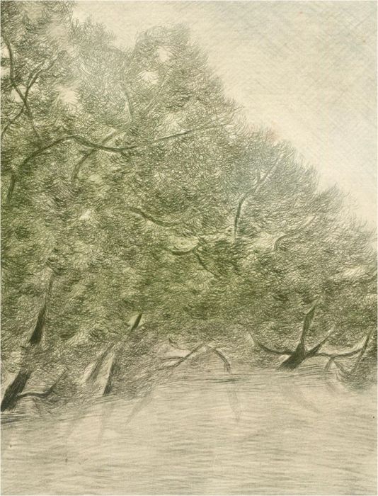 Contemporary Etching - Flooded Willows