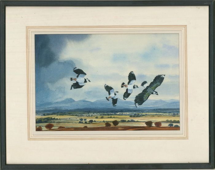Noel McCready - 1998 Watercolour, Lapwings