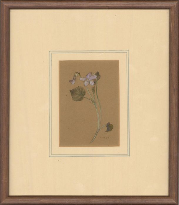 Ruth H Saunders - 1942 Watercolour, Violet Study