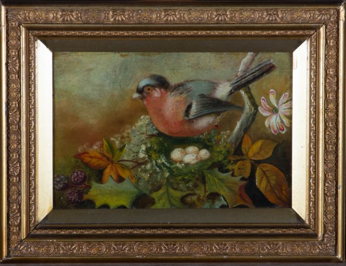 Early 20th Century Oil - Finch With Eggs