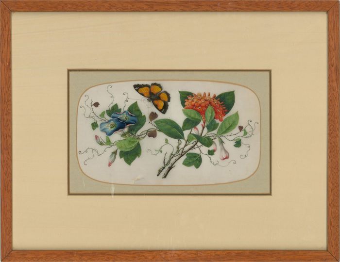 Mid 20th Century Gouache - Butterfly Among The Climbing Flowers