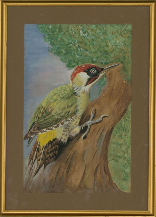 Vera Burford - 1978 Watercolour, Green Woodpecker