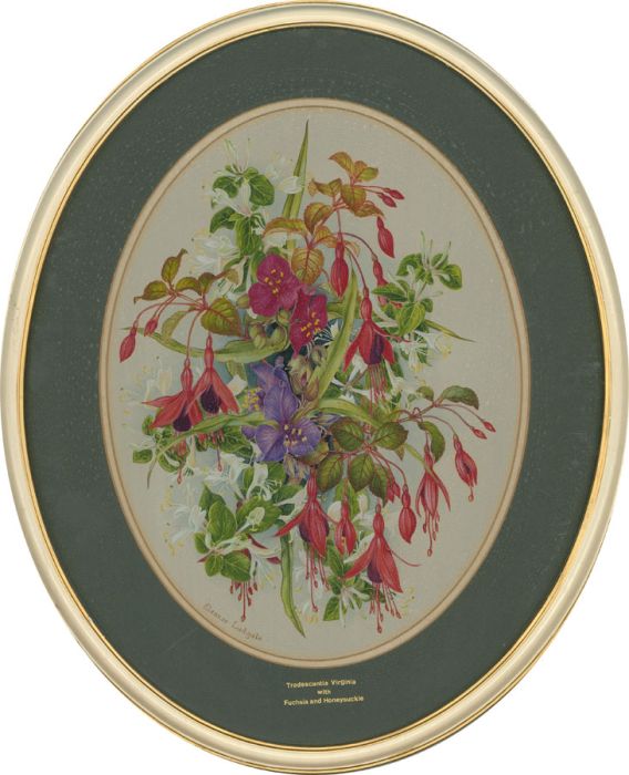 Eleanor Ludgate - Framed Watercolour, Fuchsia & Honeysuckle