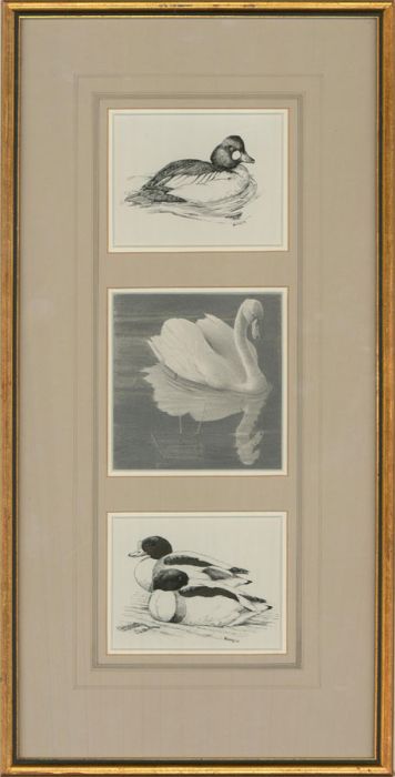O. Williams - 1993 Etchings and Graphite Drawing, Ducks and a Swan