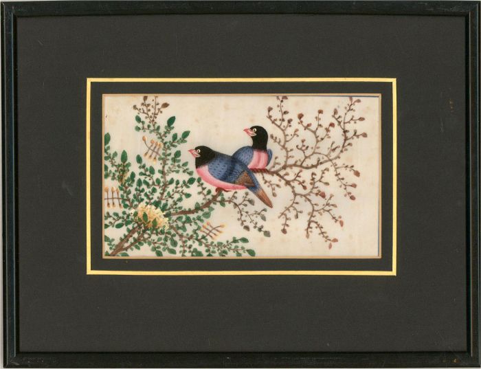 Late 19th Century Watercolour - Pair Of Finches