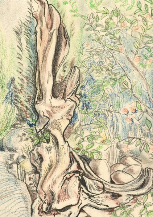 Frederick P. Cooke (1896-1978) - Mid 20th Century Pen and Ink Drawing, Foliage