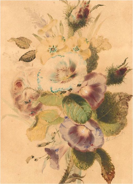 Mid 19th Century Watercolour - Columbine Posy