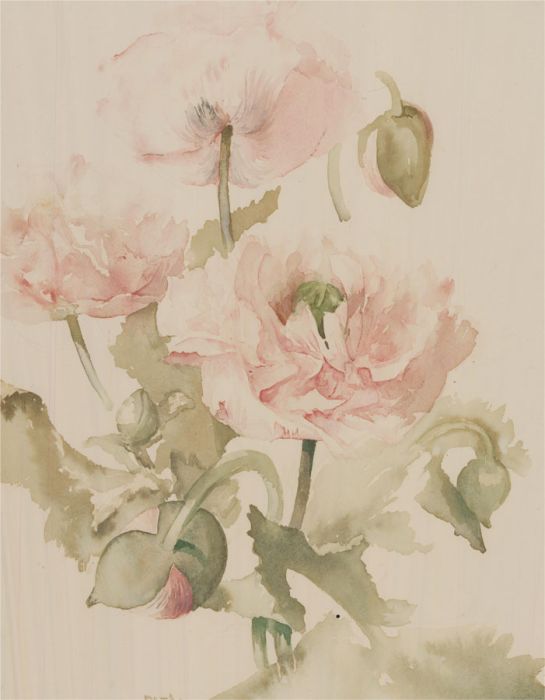Patricia Howells SBA - 1980 Watercolour, Pink Poppies