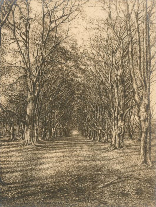 Frederick H. Swoffer - 1928 Etching, Nature's Cloisters, Sherwood Forest