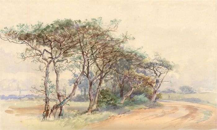 Mid 20th Century Watercolour - Spring Trees, Halswell