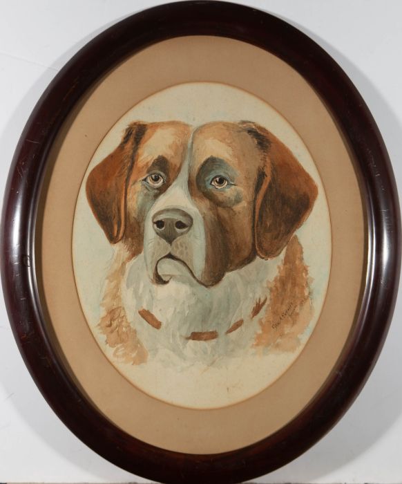 George A. Scaife - 1893 Watercolour, Toronto the St Bernard