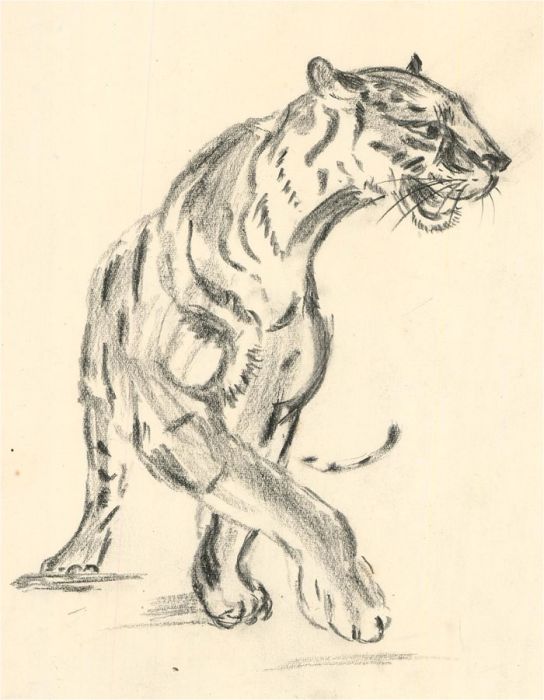 Sylvia Grottick - A Pair of 20th Century Charcoal Drawings, Tiger and Horse
