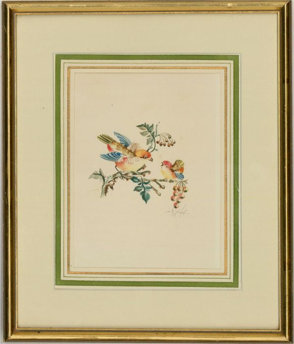 Pair of  Mid 20th Century Watercolour - Vibrant Ornithological Studies