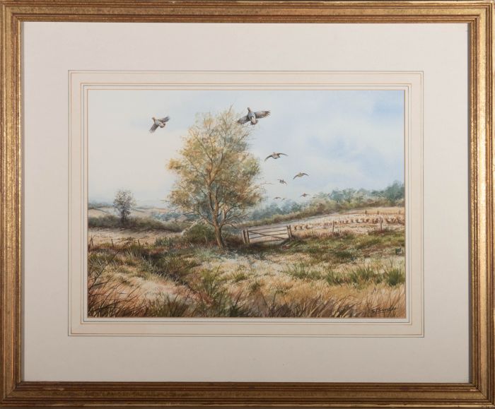 S.T. Trinder - Contemporary Watercolour, Flying Grouse