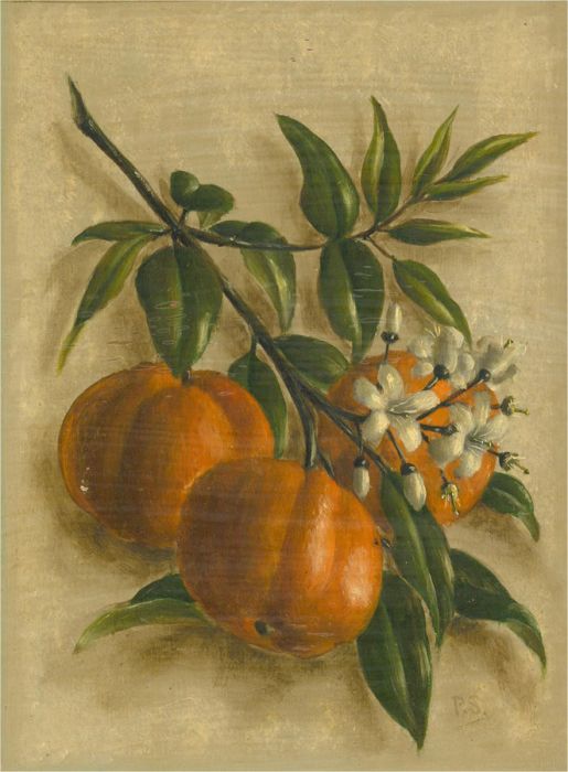 P.S. - Contemporary Oil, Bergamot Oranges