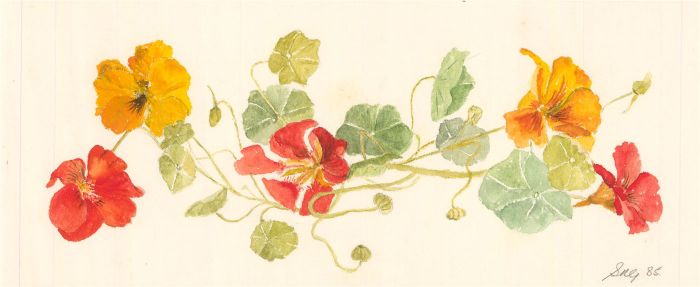 Sylvia Grottick - 1985 Watercolour, Red and Orange Flowers