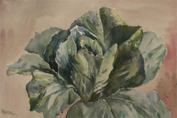 Marthe - 1993 Watercolour, Big Green Cabbage