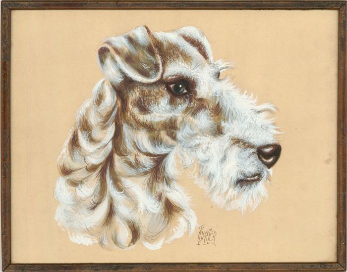 T. Grater - 20th Century Gouache, Wire Fox Terrier