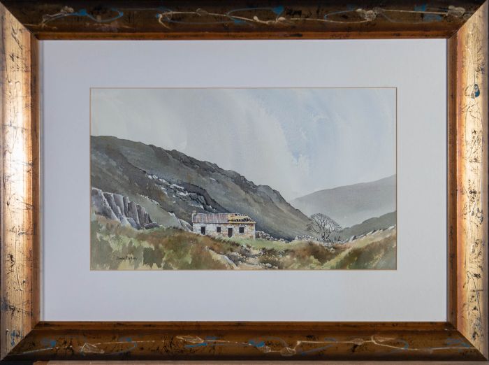 David Bellamy - 20th Century Watercolour, Ruined Croft