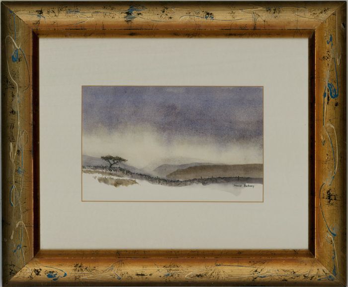 David Bellamy - 20th Century Watercolour, Stone Wall