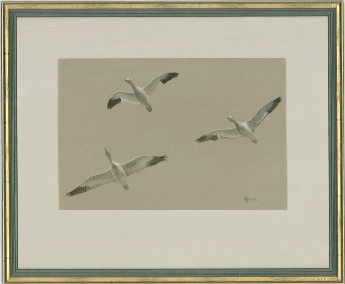 E. M. Chadwick - Contemporary Watercolour, Trumpeter Swans In Flight