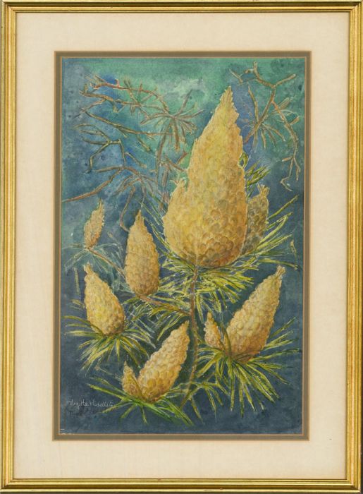 Myrtle Middleton - Contemporary Watercolour, Scottish Pine Cones