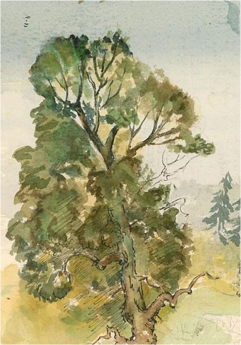Louis Valentine - Mid 20th Century Watercolour, A Tree