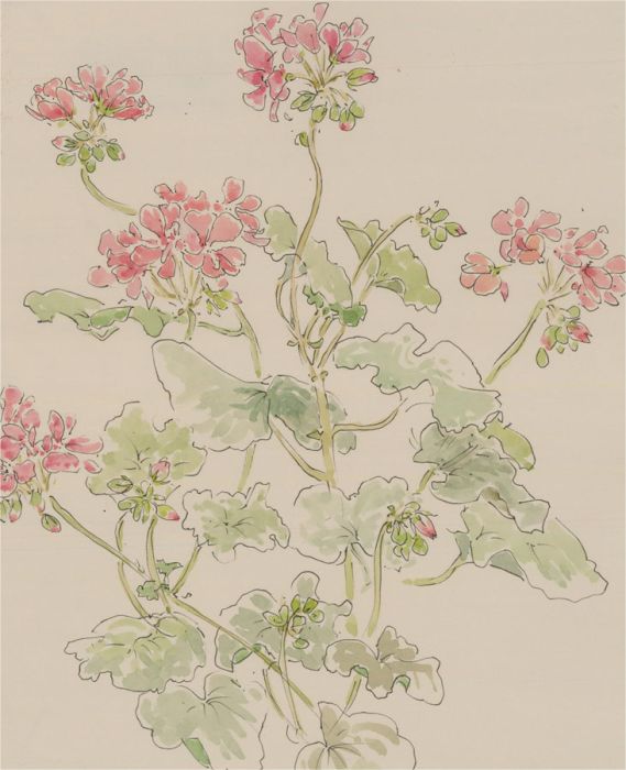 Jill Dickin - Contemporary Watercolour, Dainty Flowers