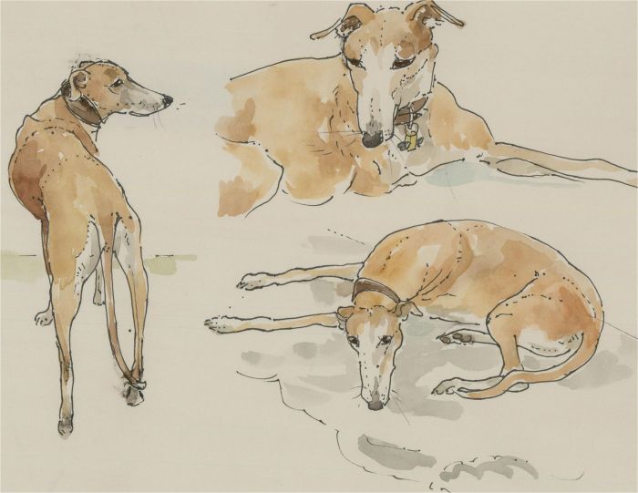 Jill Dickin - Contemporary Watercolour, Study of a Greyhound