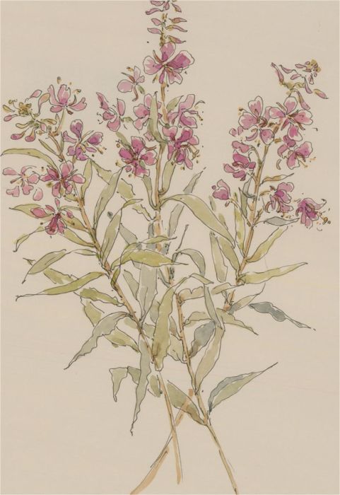 Jill Dickin - 1997 Watercolour, Dainty Pink Flowers