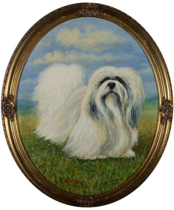 J. D. Wellard  - 1988 Oil, Shaggy the Shih Tzu