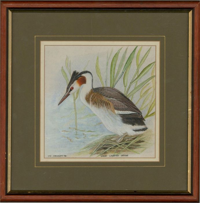 Vic Fawcett - 1993 Watercolour, Great Crested Grebe