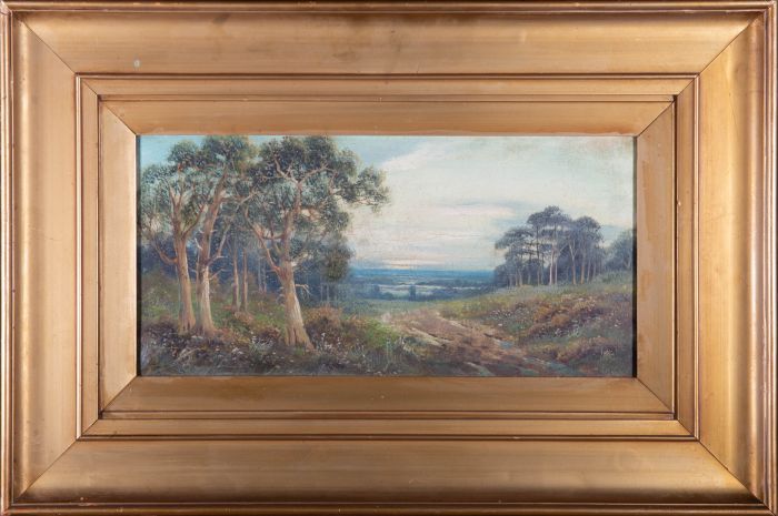 H. James - Early 20th Century Oil, Woodland Edge